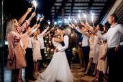 cold_fire_from_cake_candles_fireworks_hands_people_around_newlyweds