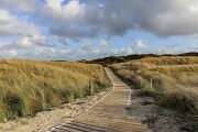 gras_d_nen_landschaft