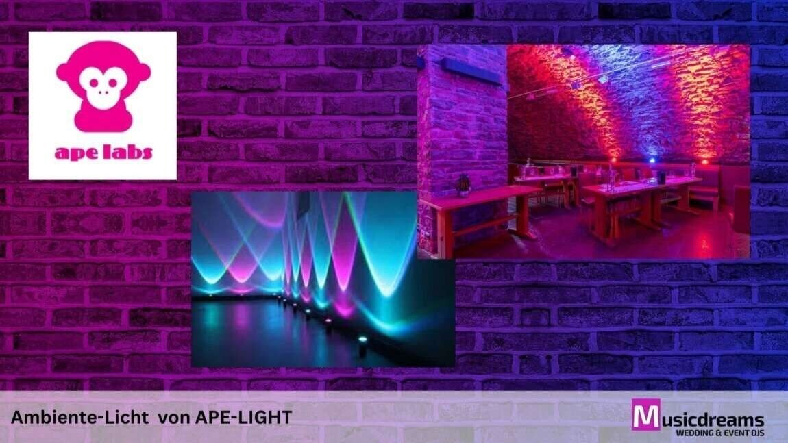 Ambiente-Licht von Ape Light – stilvolle Beleuchtung für Hochzeiten und Events